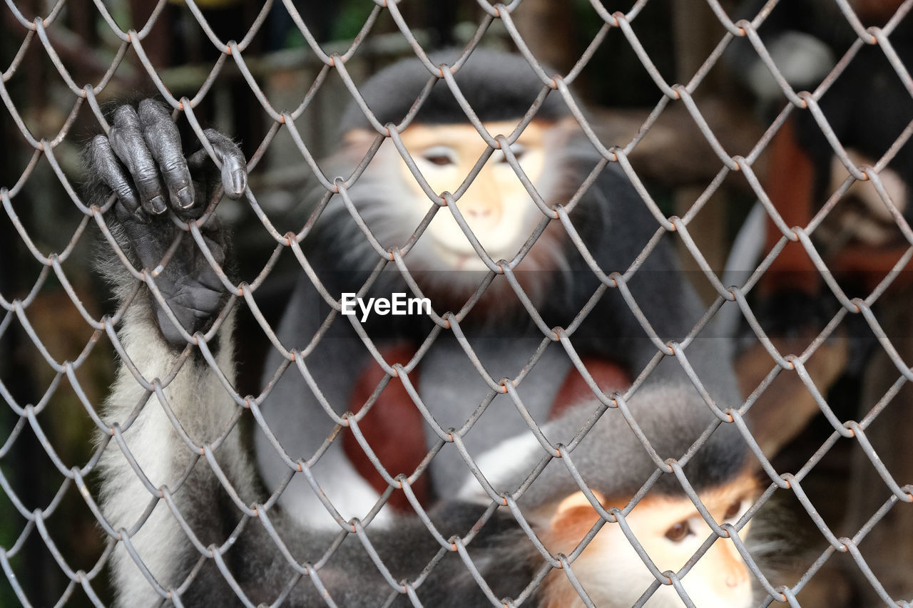 FULL FRAME SHOT OF CHAINLINK FENCE WITH WIRE