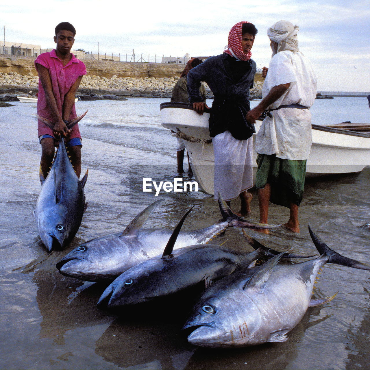 MEN IN FISH ON BEACH