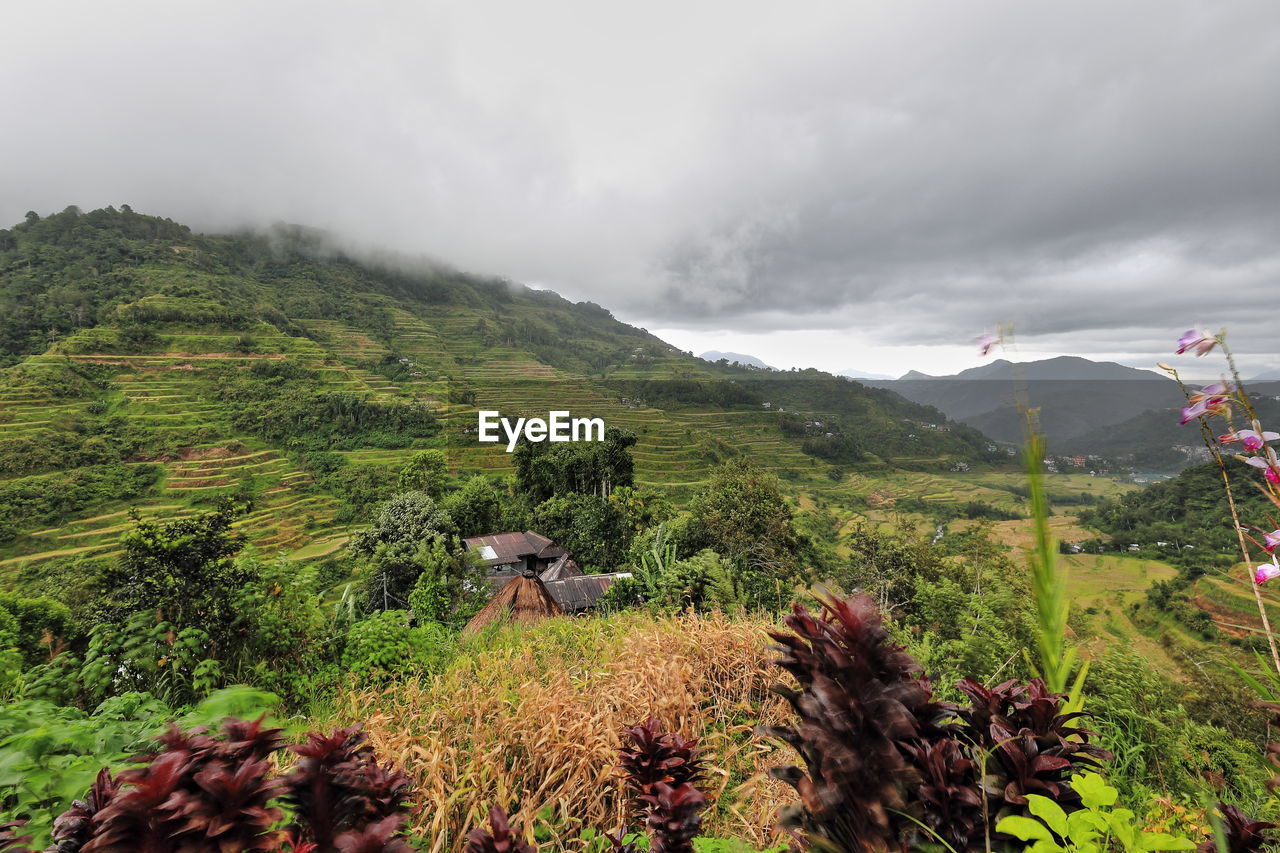 SCENIC VIEW OF LAND AGAINST SKY