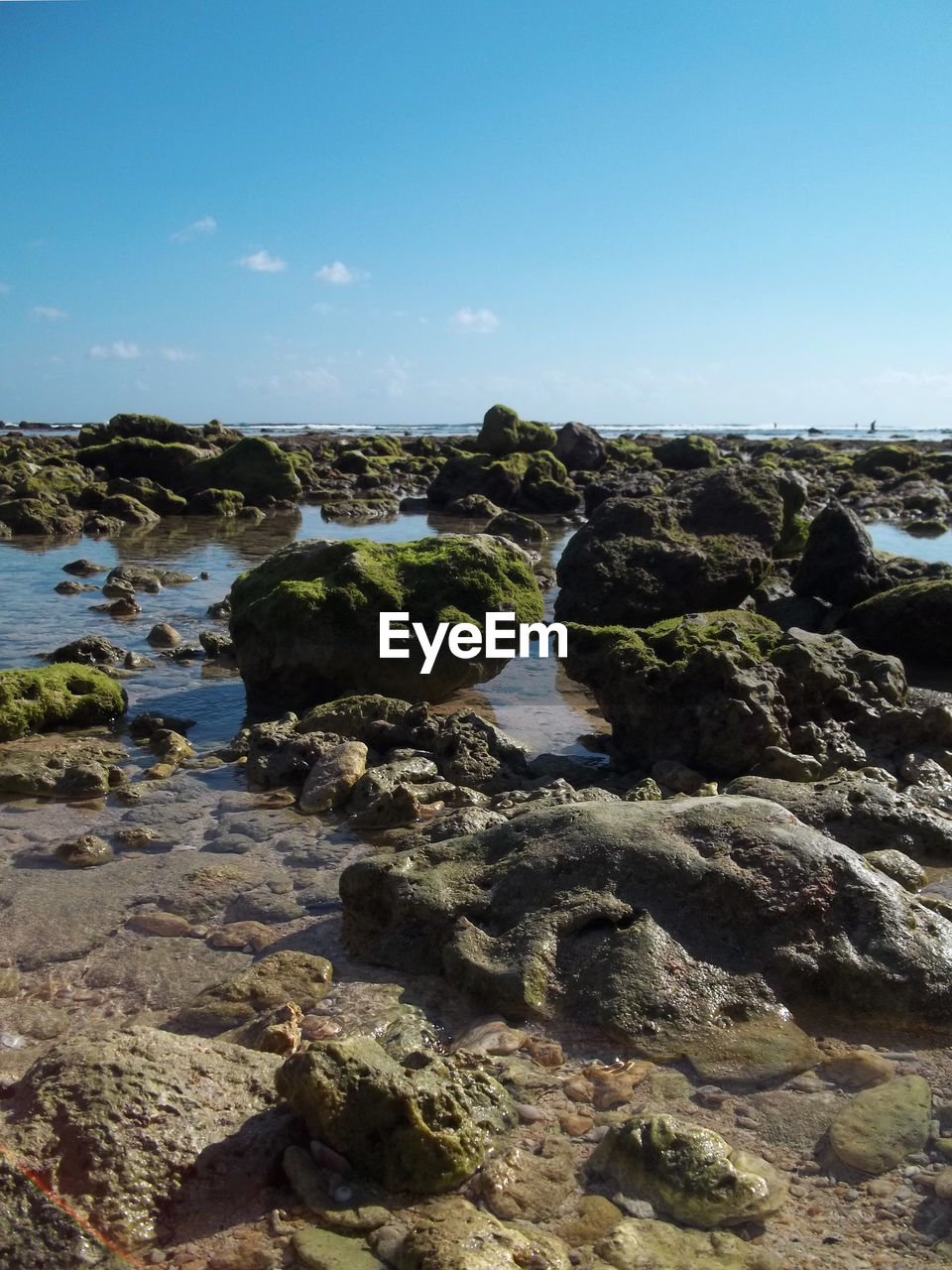 SCENIC VIEW OF ROCKS ON BEACH AGAINST CLEAR SKY