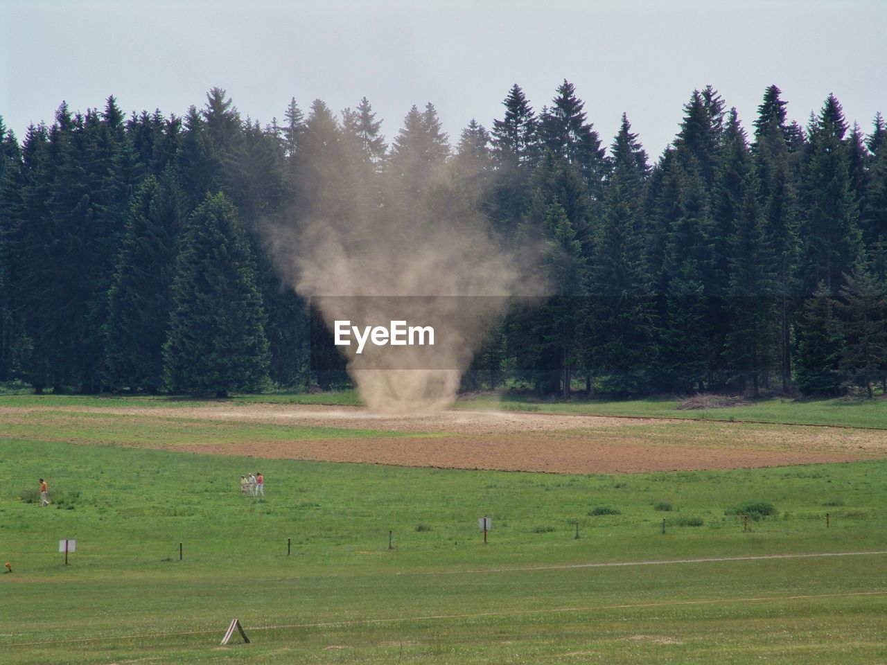 Scenic view of grassy field against trees