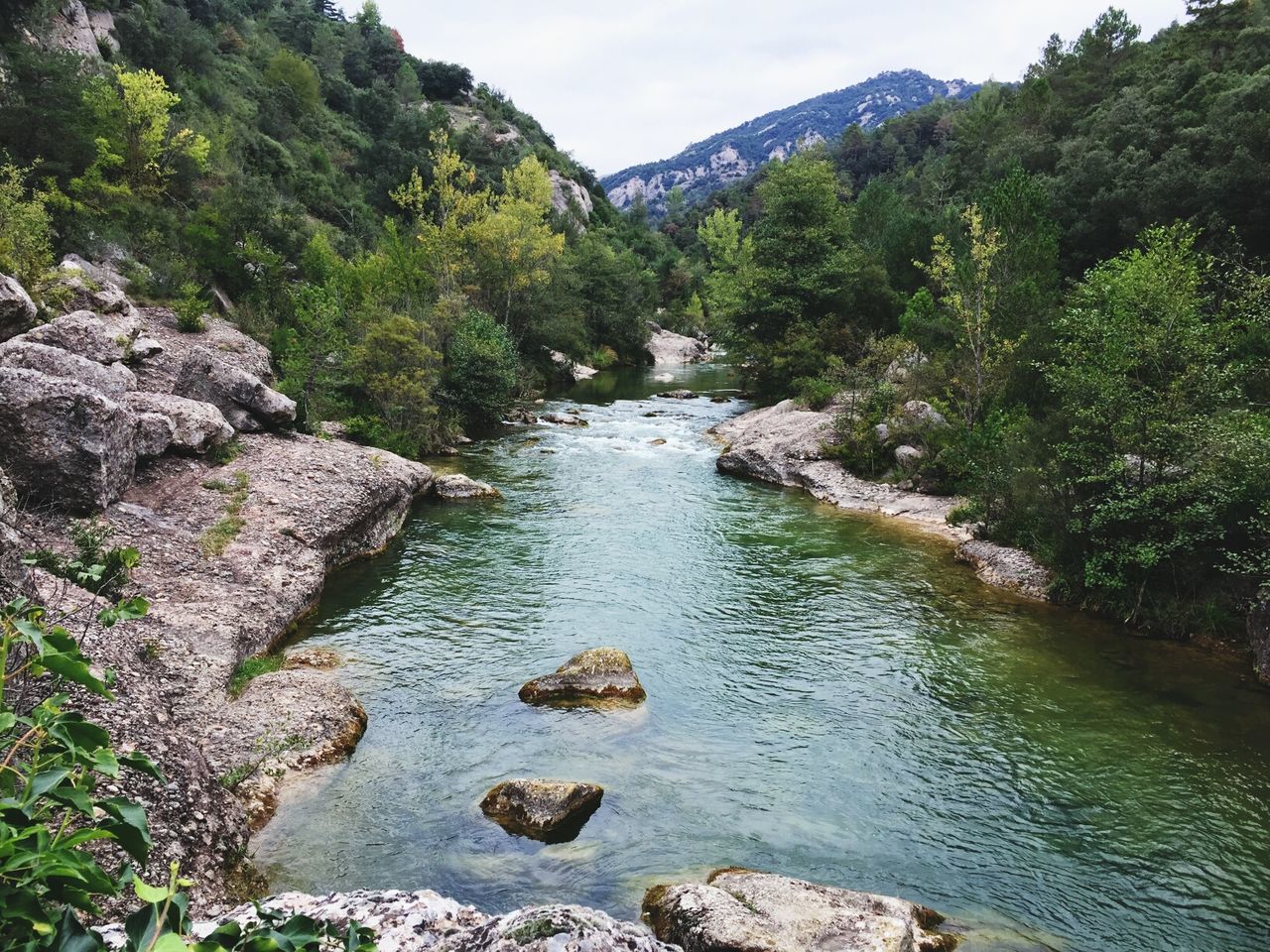 STREAM AMIDST TREES AGAINST SKY