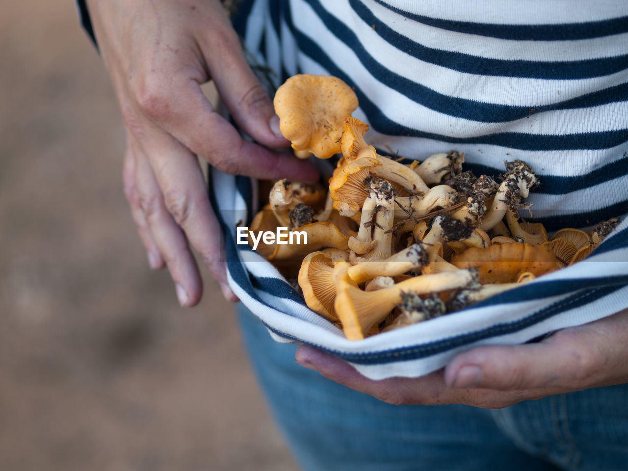 Midsection of person holding mushrooms