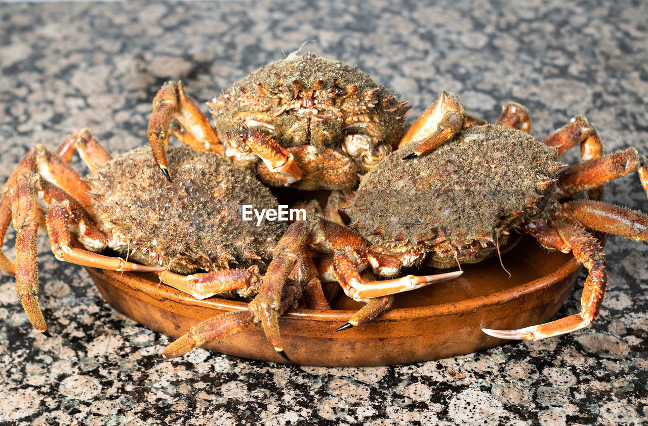 CLOSE-UP OF CRAB IN A SEA