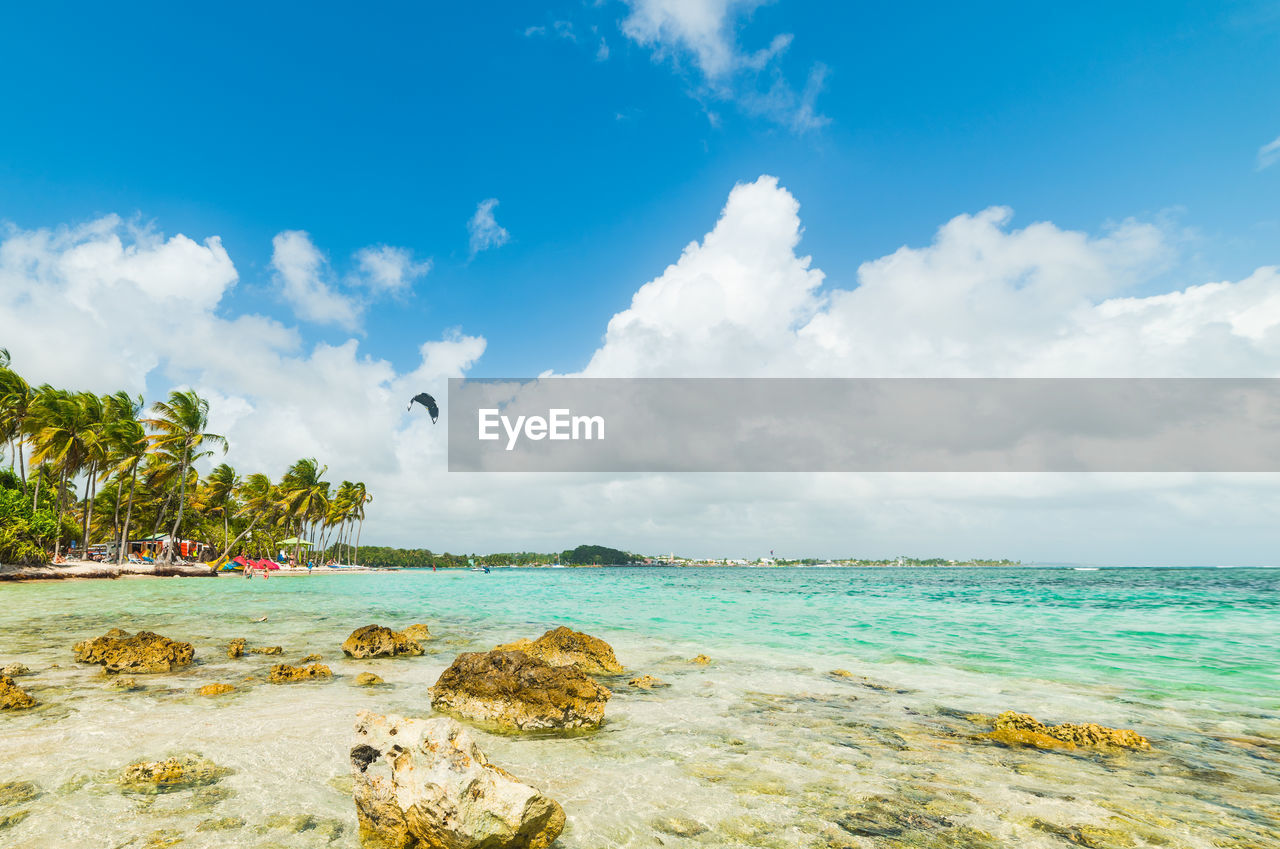 SCENIC VIEW OF BEACH