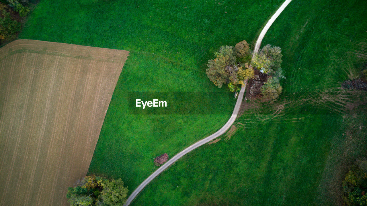 green, plant, high angle view, aerial view, nature, no people, growth, grass, environment, landscape, tree, land, day, beauty in nature, leaf, outdoors, field, transportation, agriculture, rural scene, scenics - nature, aerial photography