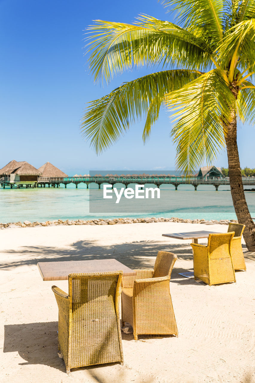 PALM TREES ON BEACH