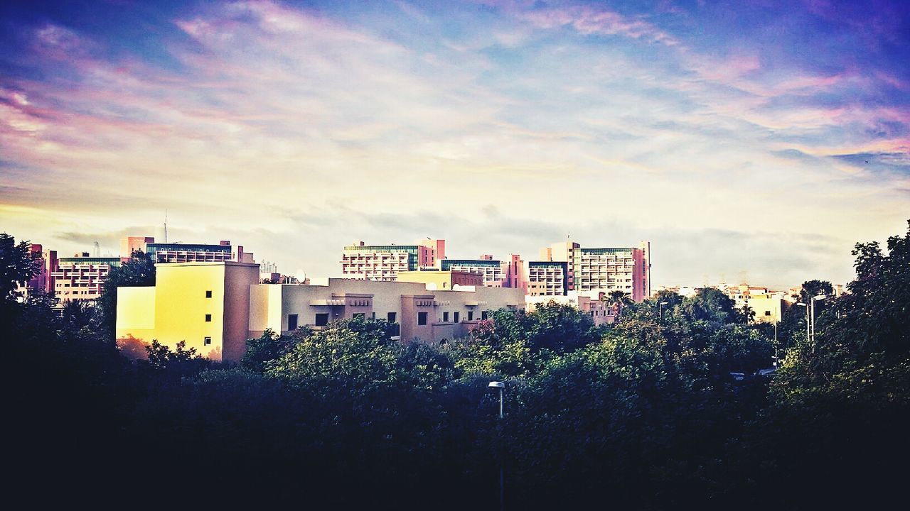 Buildings with trees in foreground