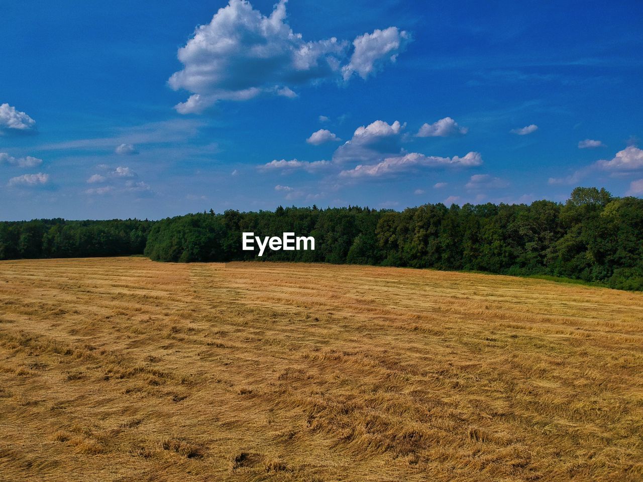 SCENIC VIEW OF LAND AGAINST SKY