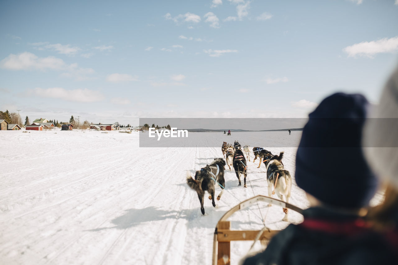 Brother and sister dogsledding during winter