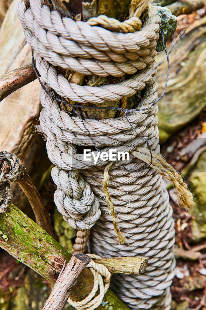 close-up of rope on wood
