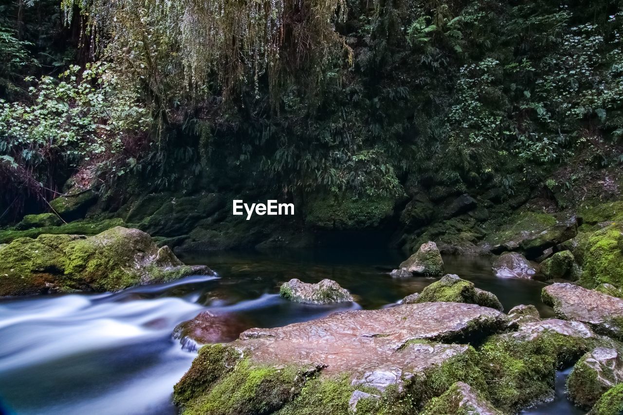 Stream flowing through rocks in forest