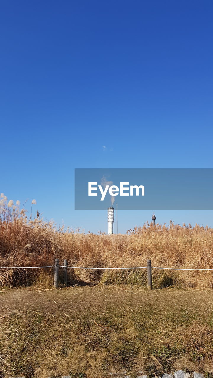 VIEW OF FIELD AGAINST CLEAR BLUE SKY