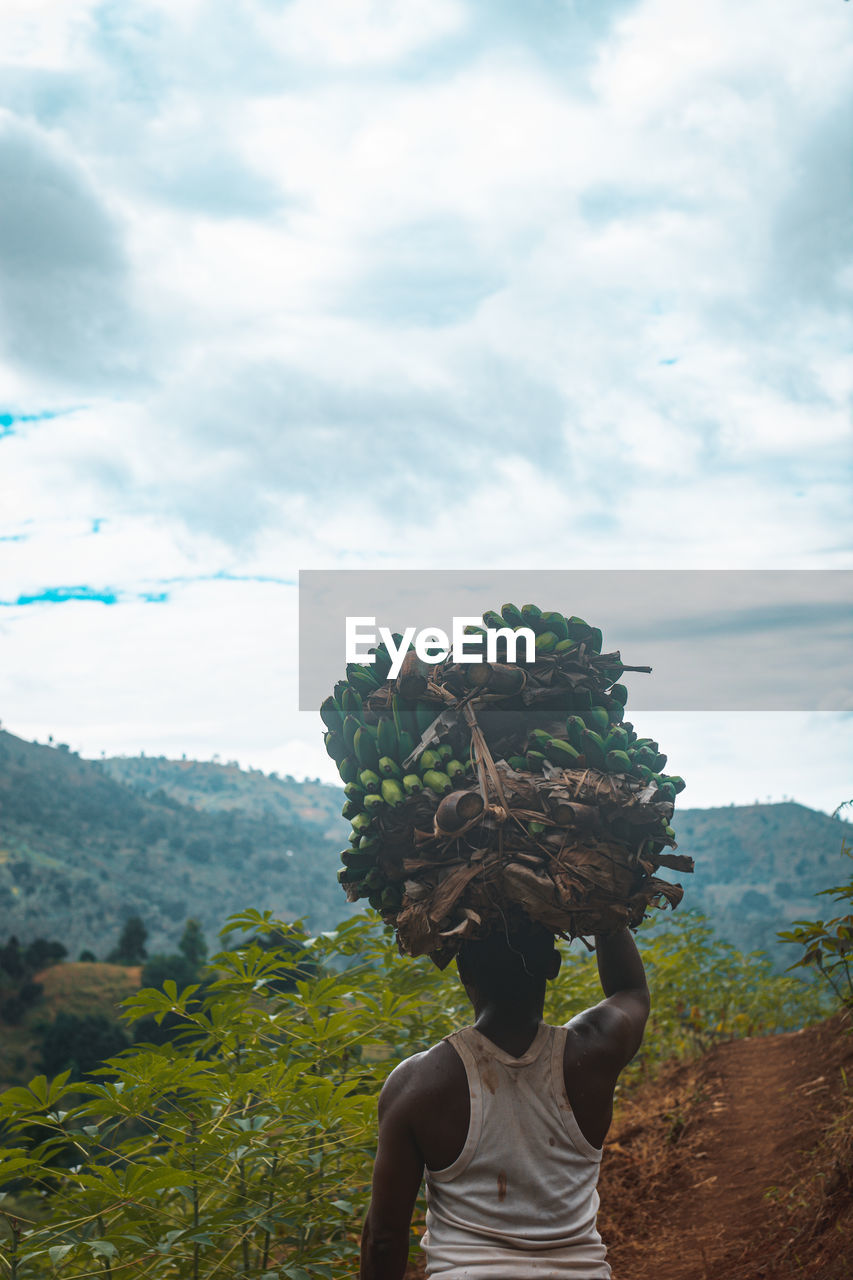 Rear view close up of a farmer carrying bananas on his head in rural scene