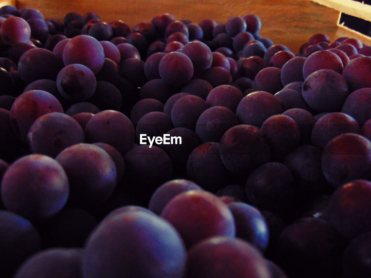 CLOSE-UP OF BLACKBERRIES