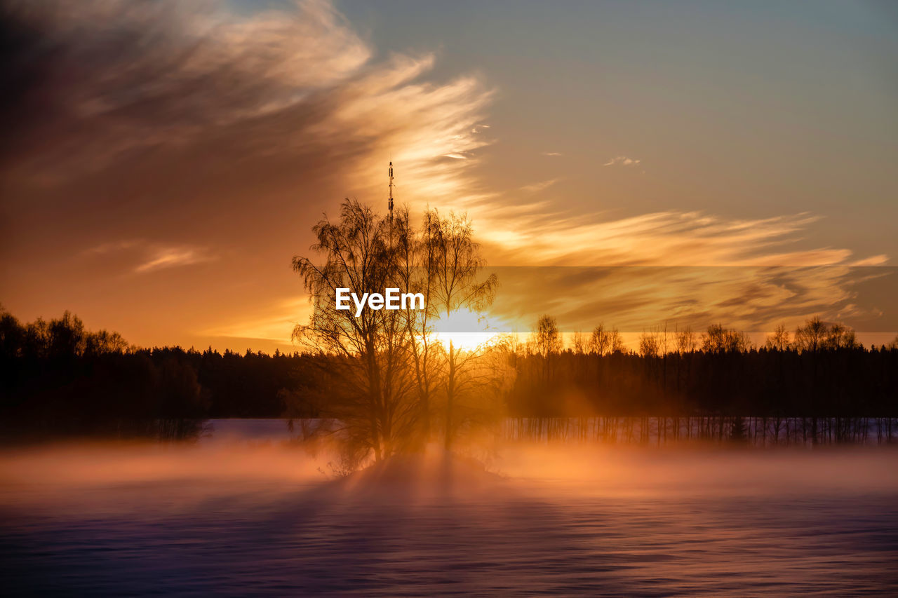sky, tree, sunset, water, beauty in nature, scenics - nature, tranquility, cloud, tranquil scene, nature, reflection, plant, dawn, silhouette, lake, environment, landscape, evening, no people, afterglow, sun, idyllic, sunlight, forest, orange color, non-urban scene, dramatic sky, outdoors, land, atmospheric mood, red sky at morning, twilight, fog, back lit, woodland, travel destinations, horizon