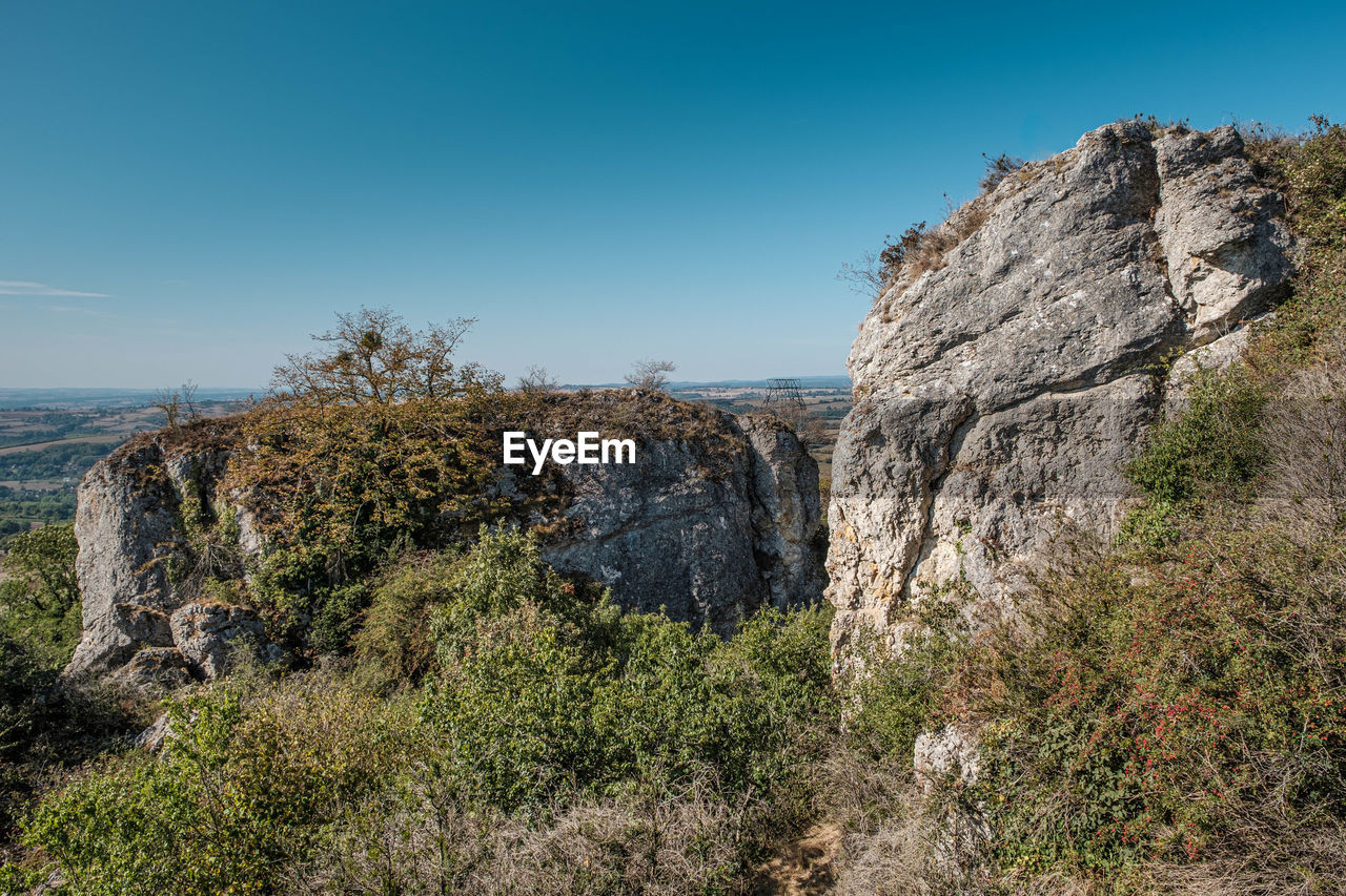 Plants growing on rock by sea against clear blue sky