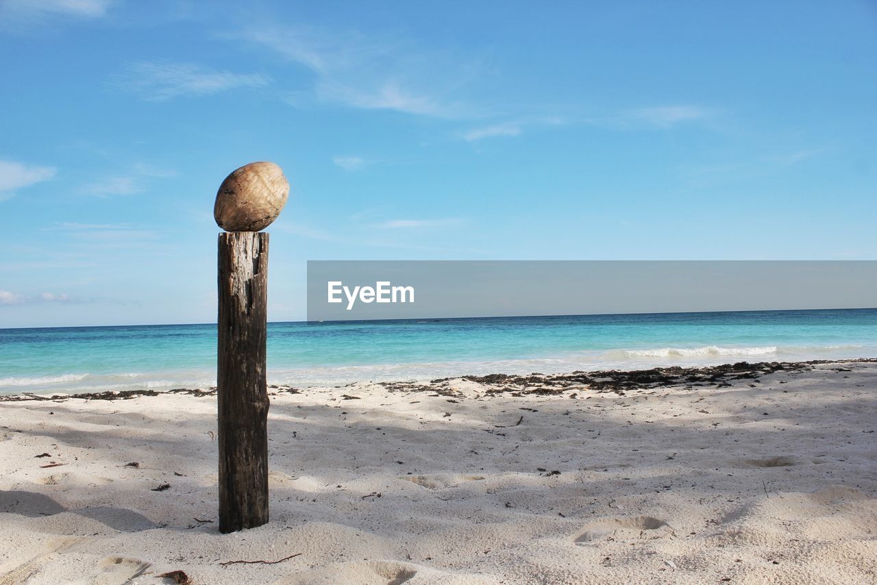 Coconut on wooden post on white sand beach against blue sky