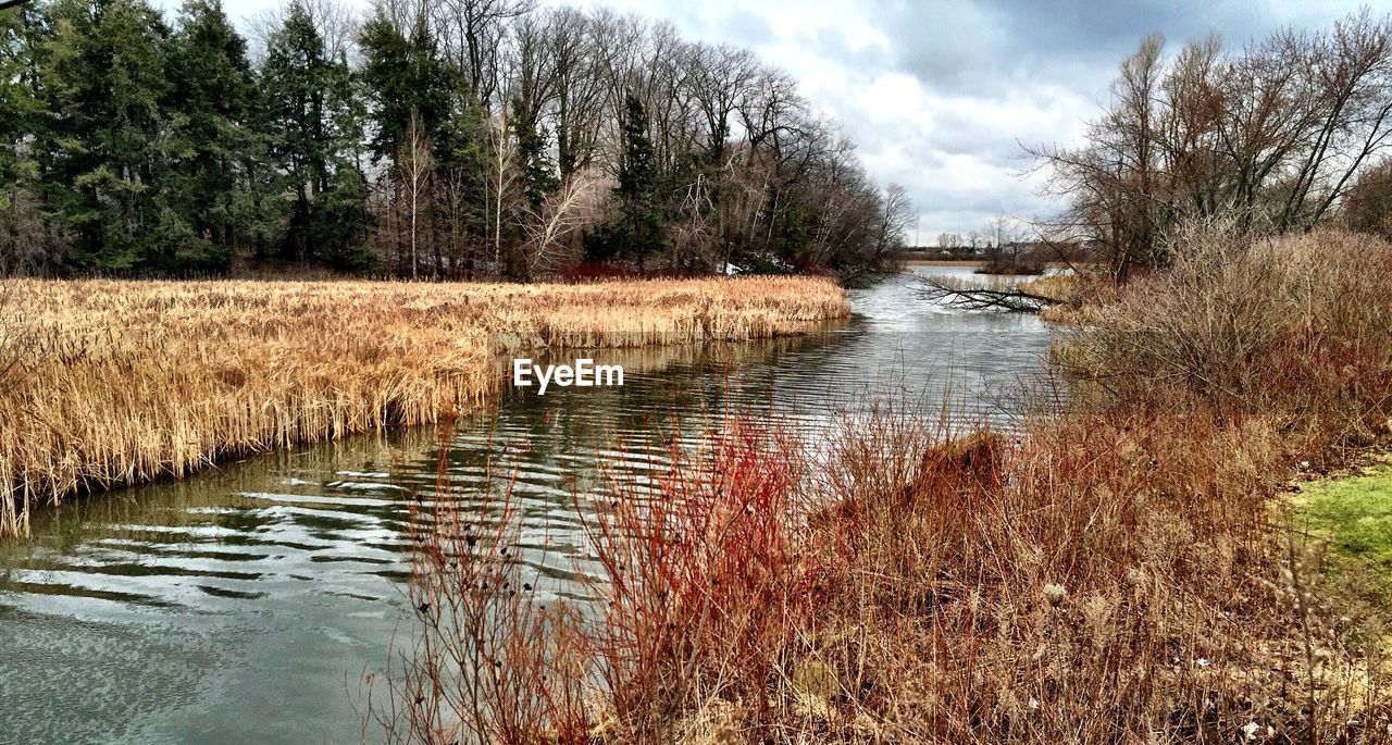 View of calm river