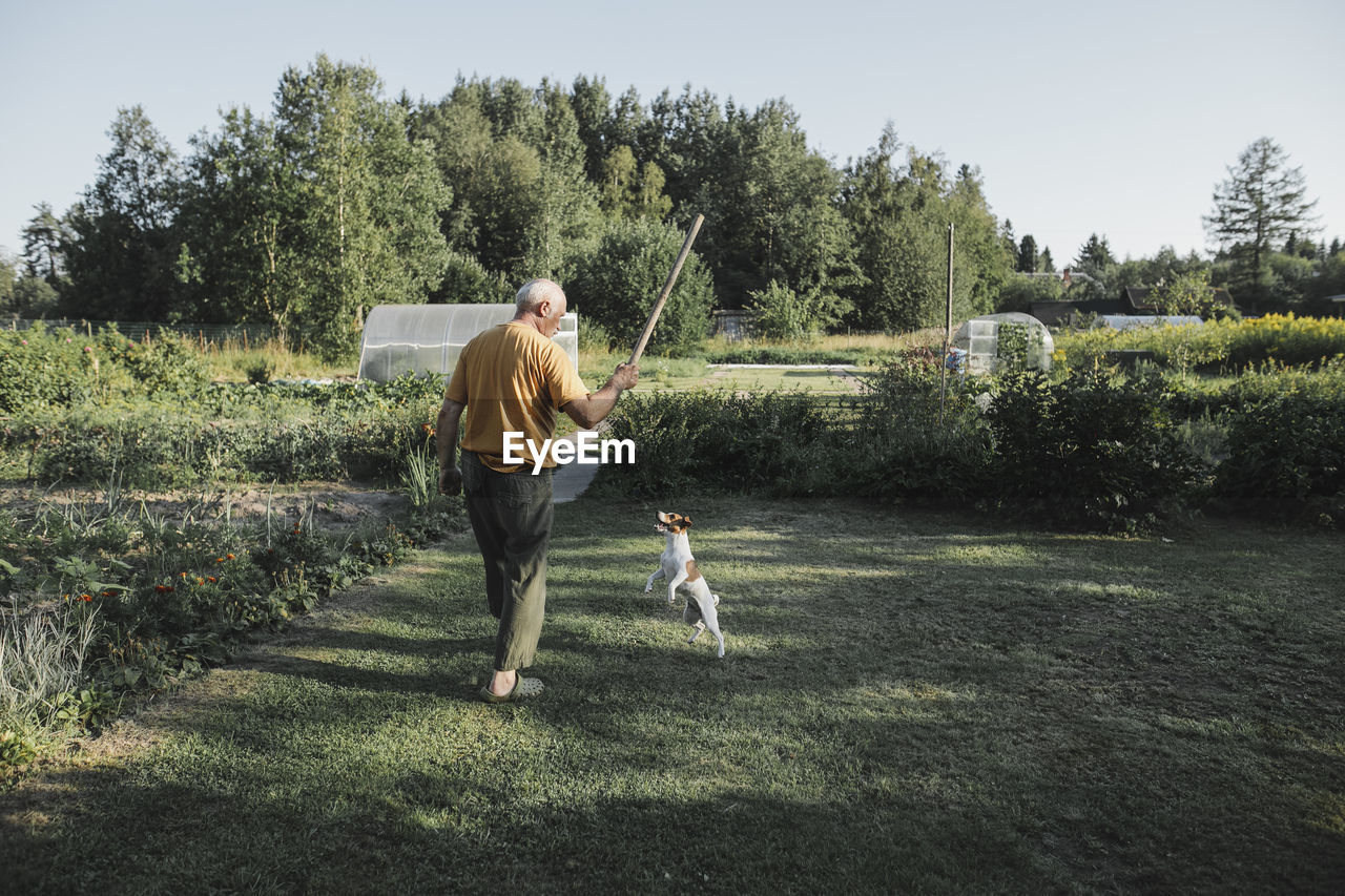 Senior man playing with dog in garden