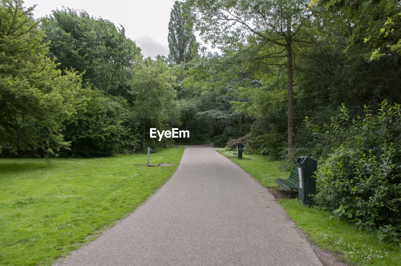 EMPTY ROAD AMIDST TREES