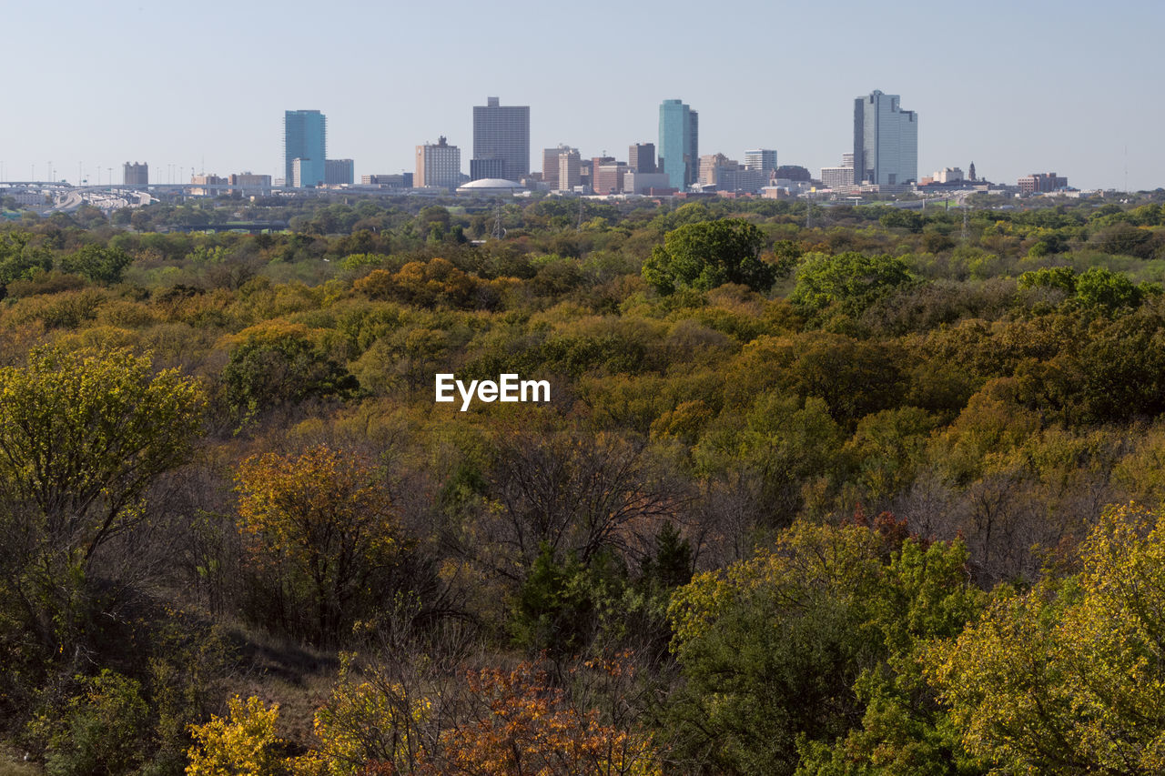 Trees on landscape against buildings