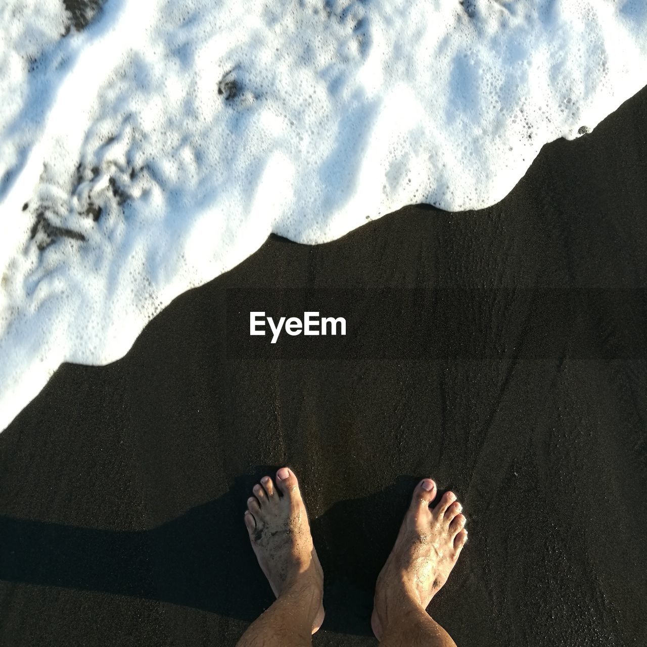 Low section of man on sand at beach