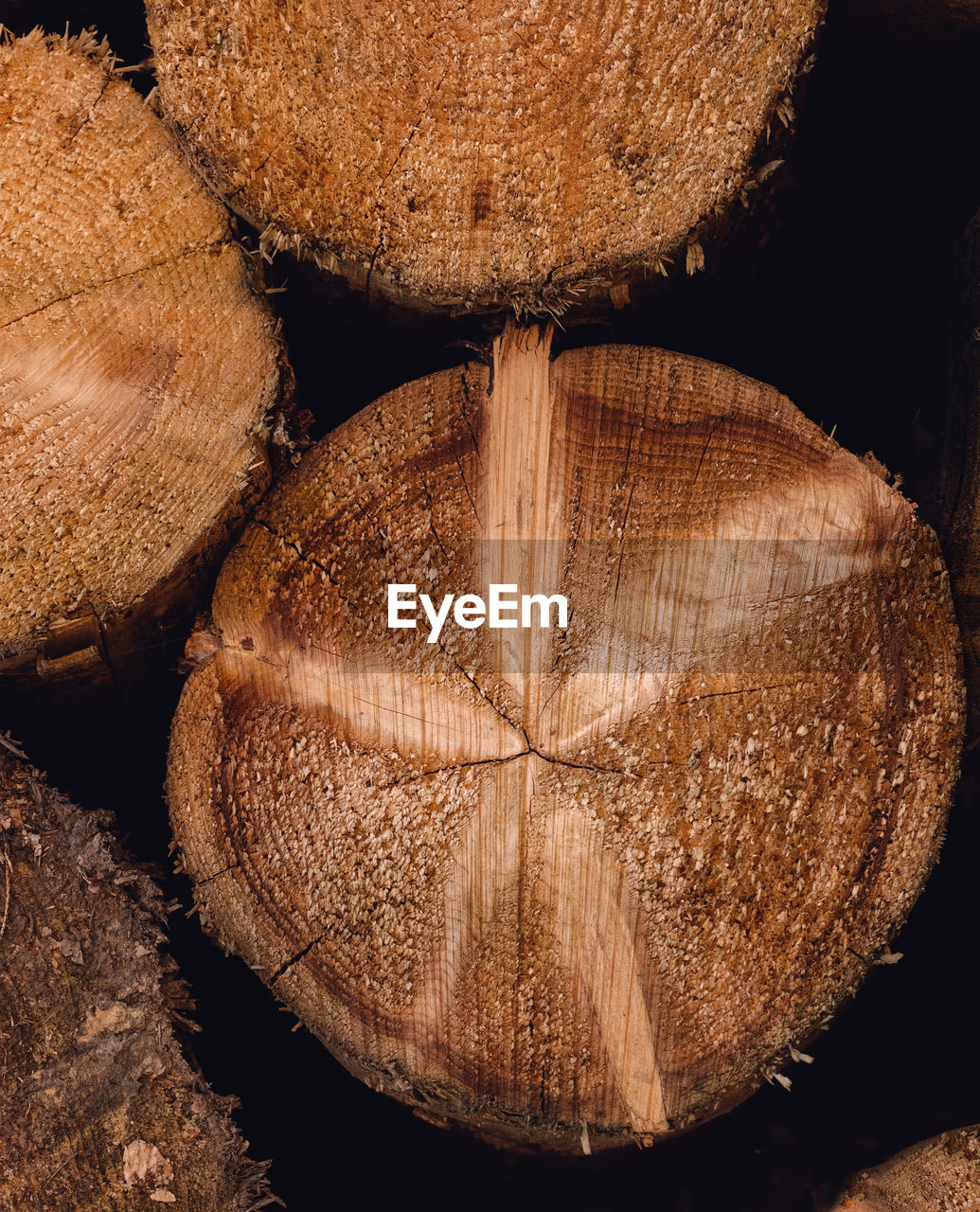 tree, close-up, no people, brown, leaf, log, timber, full frame, food, trunk, produce, wood, food and drink, deforestation, plant, backgrounds, lumber industry, nature, cross section, textured, forest, firewood, healthy eating