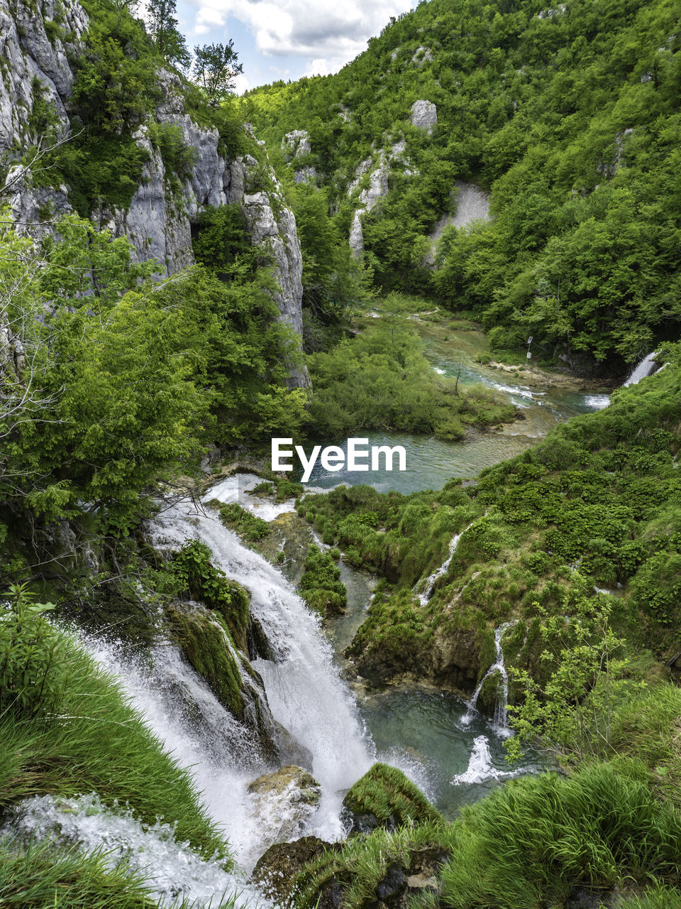 Scenic view of waterfall in forest