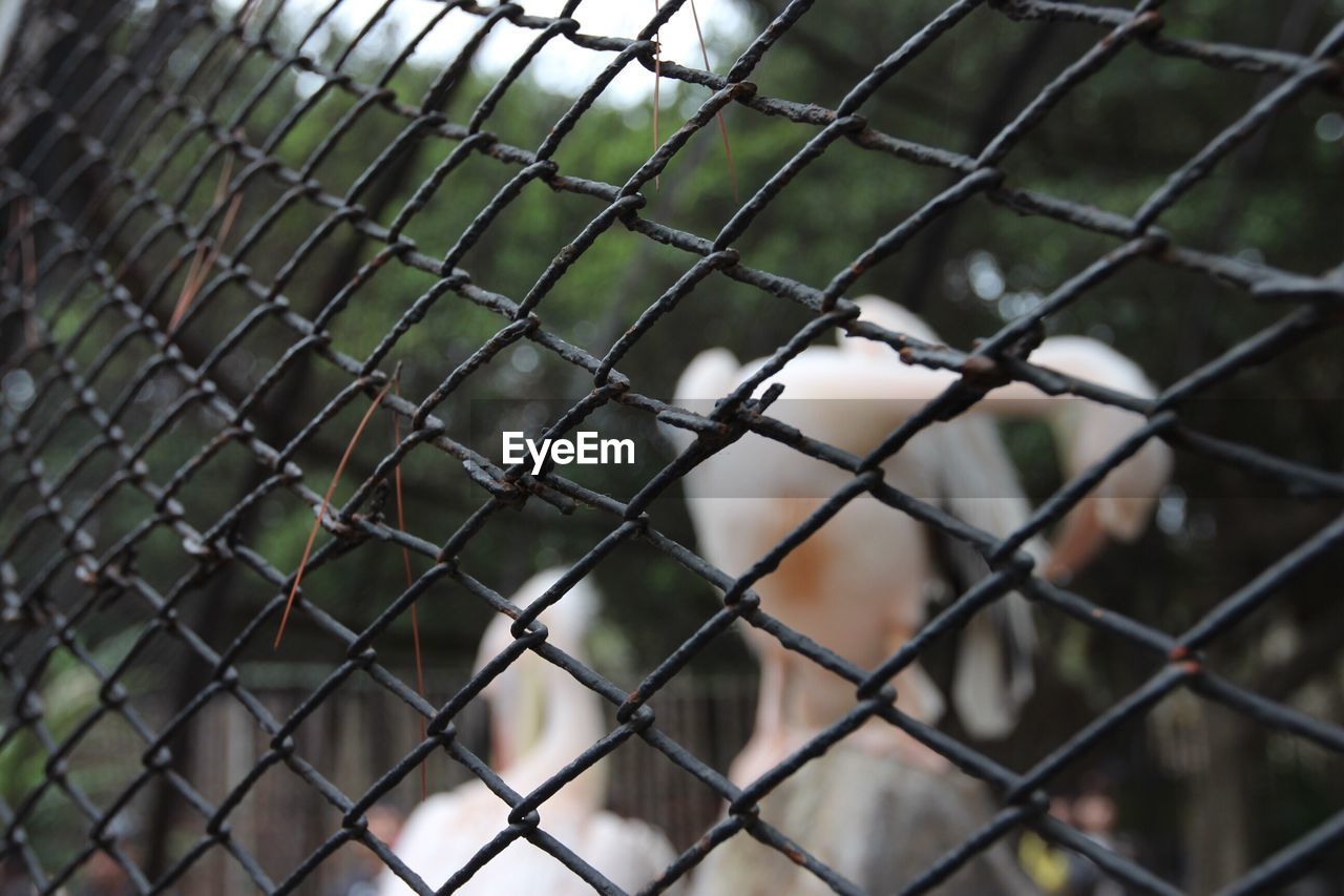 Full frame shot of chainlink fence