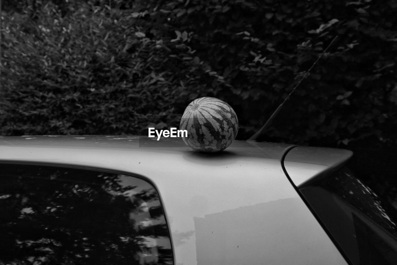 High angle view of a melon on car