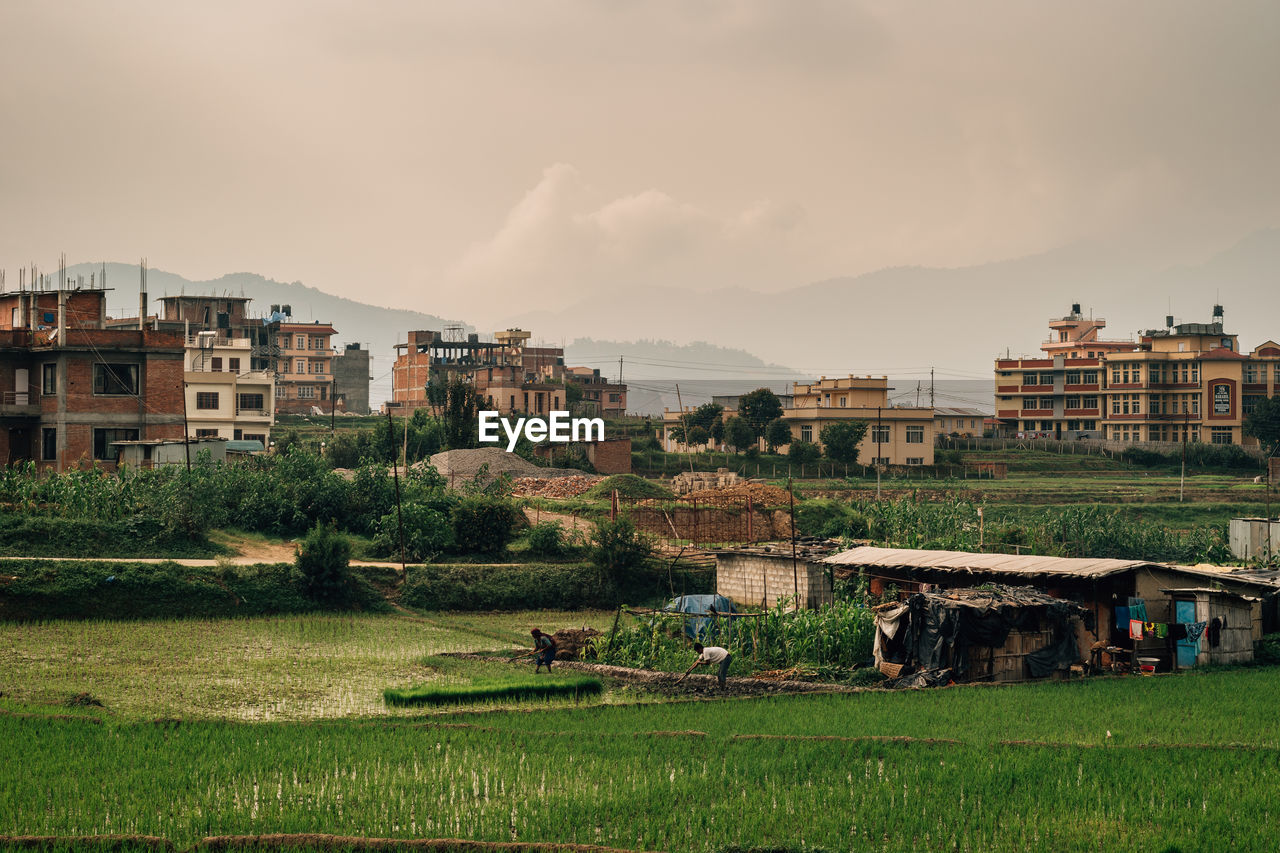 HOUSES ON FIELD AGAINST BUILDINGS IN CITY