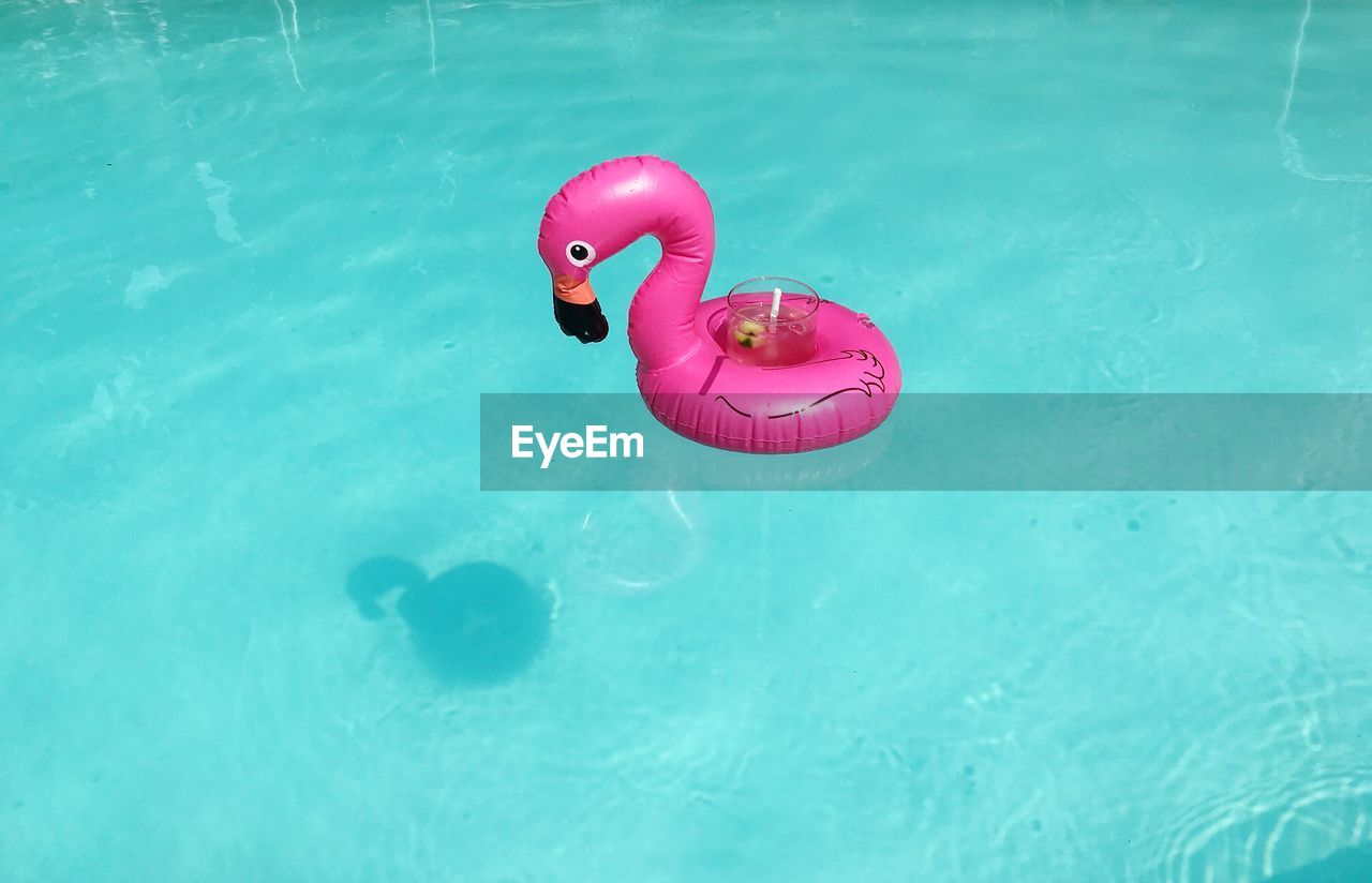 HIGH ANGLE VIEW OF PINK FLOATING ON WATER