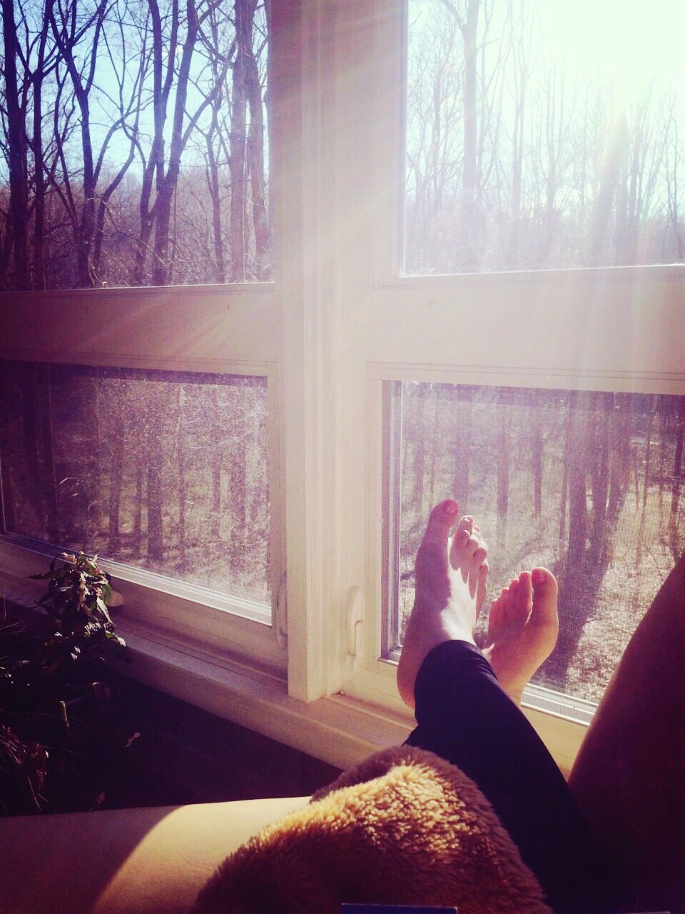 Low section of woman against glass window on sunny day