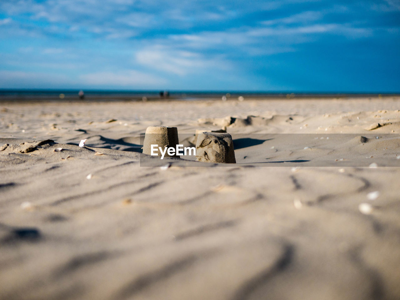 CRAB ON BEACH AGAINST SKY