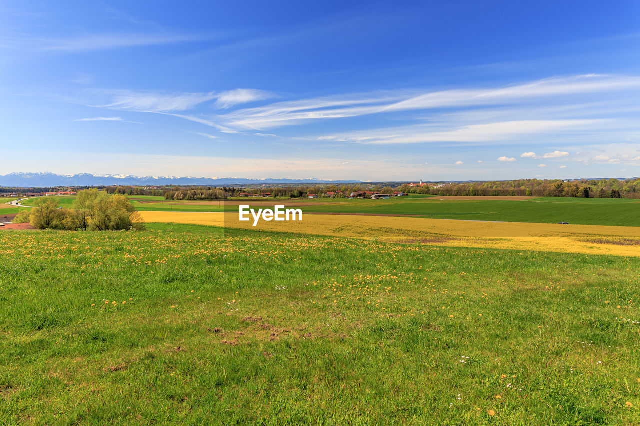 SCENIC VIEW OF YELLOW FIELD AGAINST SKY