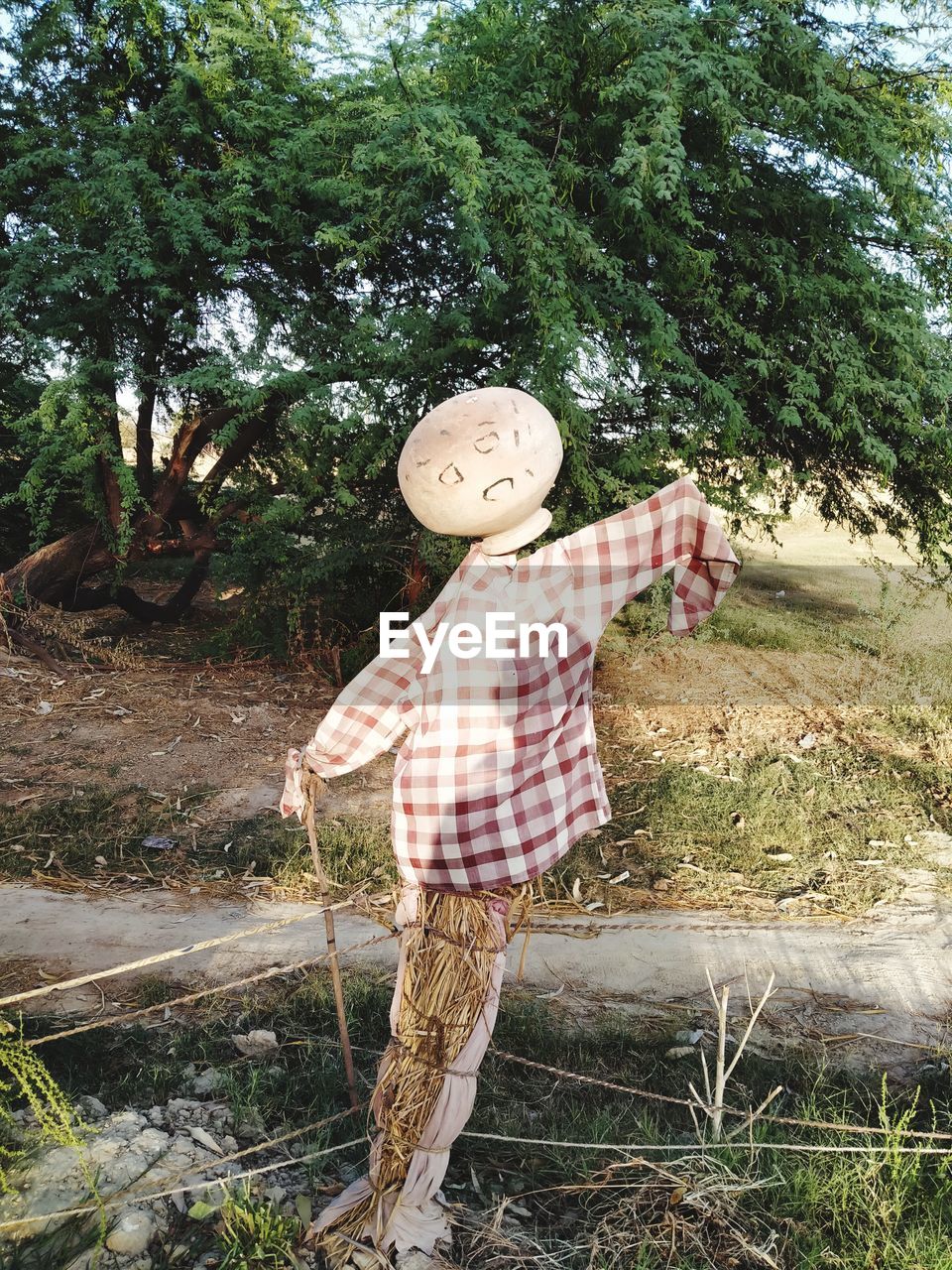 REAR VIEW OF CHILD STANDING ON FIELD BY TREES