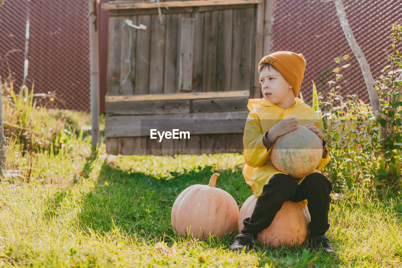 A boy in a yellow raincoat sits on large pumpkins on the street. preparing for halloween. 