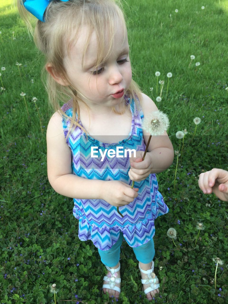 PORTRAIT OF CUTE GIRL HOLDING A FIELD