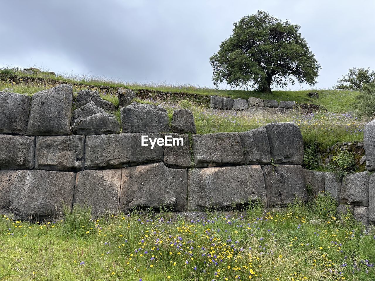 plant, ruins, rock, grass, wall, sky, nature, cloud, history, architecture, the past, rural area, no people, stone wall, land, tree, landscape, field, stone material, environment, outdoors, ancient, day, old ruin, built structure, travel destinations, flower, green, ancient history, tranquility, growth, protection, travel, hill