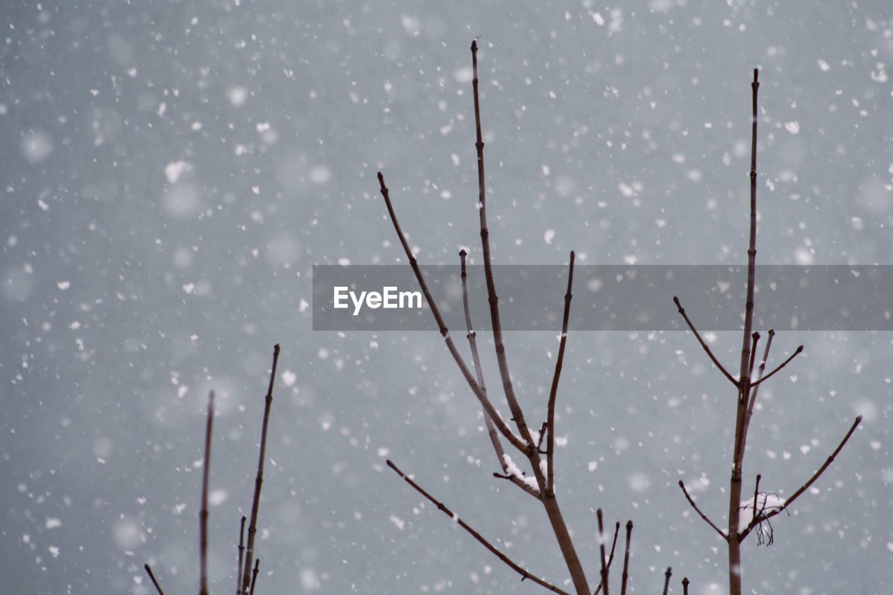 CLOSE-UP OF RAINDROPS ON SNOW COVERED LANDSCAPE