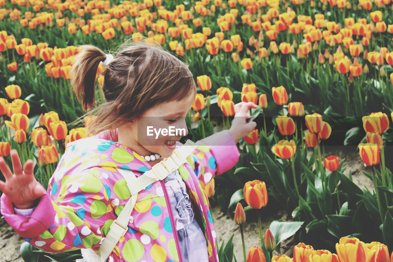 Side view of little girl with a ponytail running on tulip field.