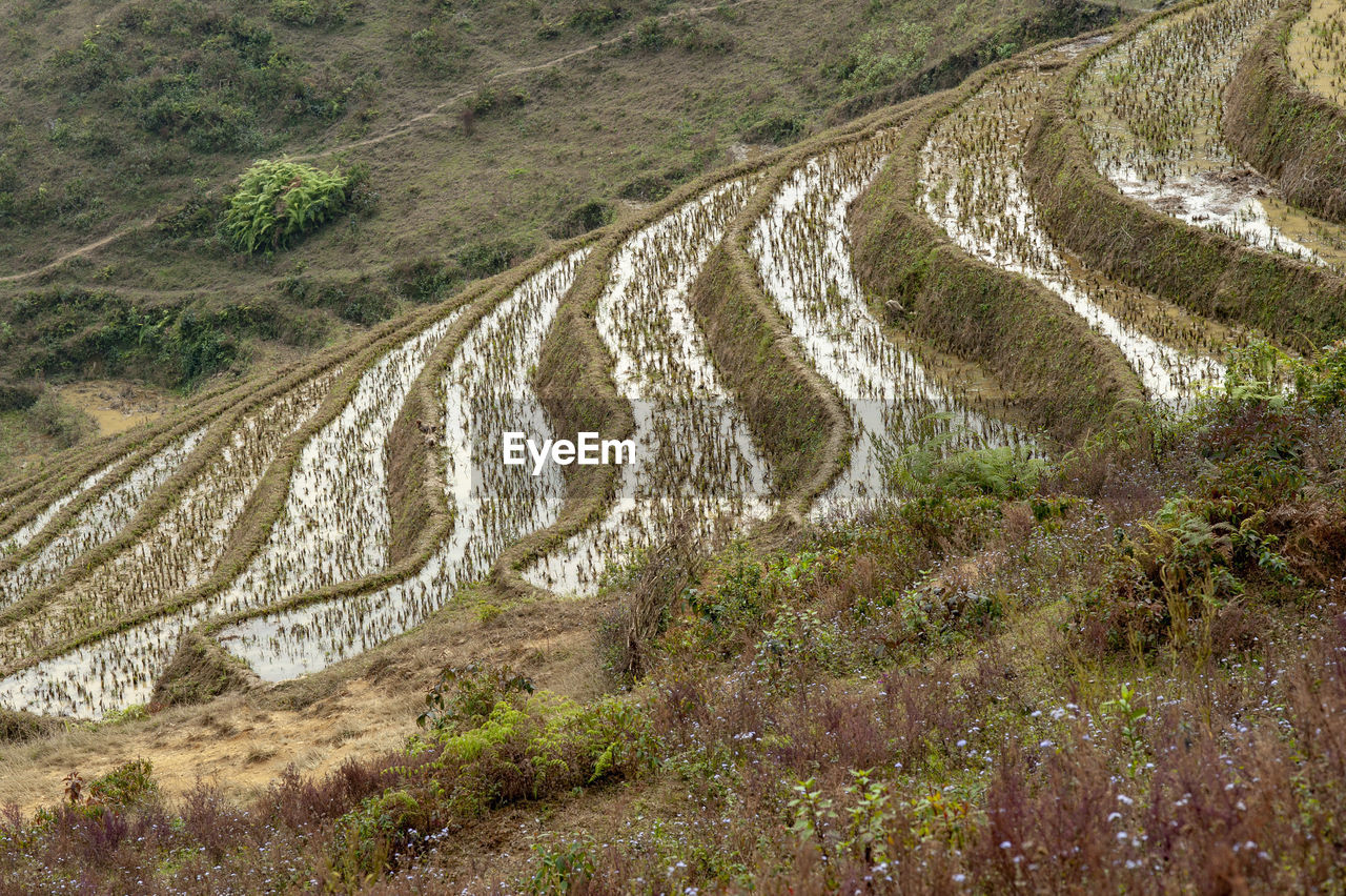 High angle view of river flowing through landscape