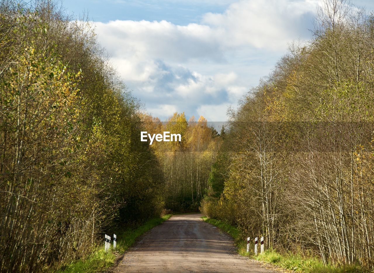 VIEW OF EMPTY ROAD ALONG TREES