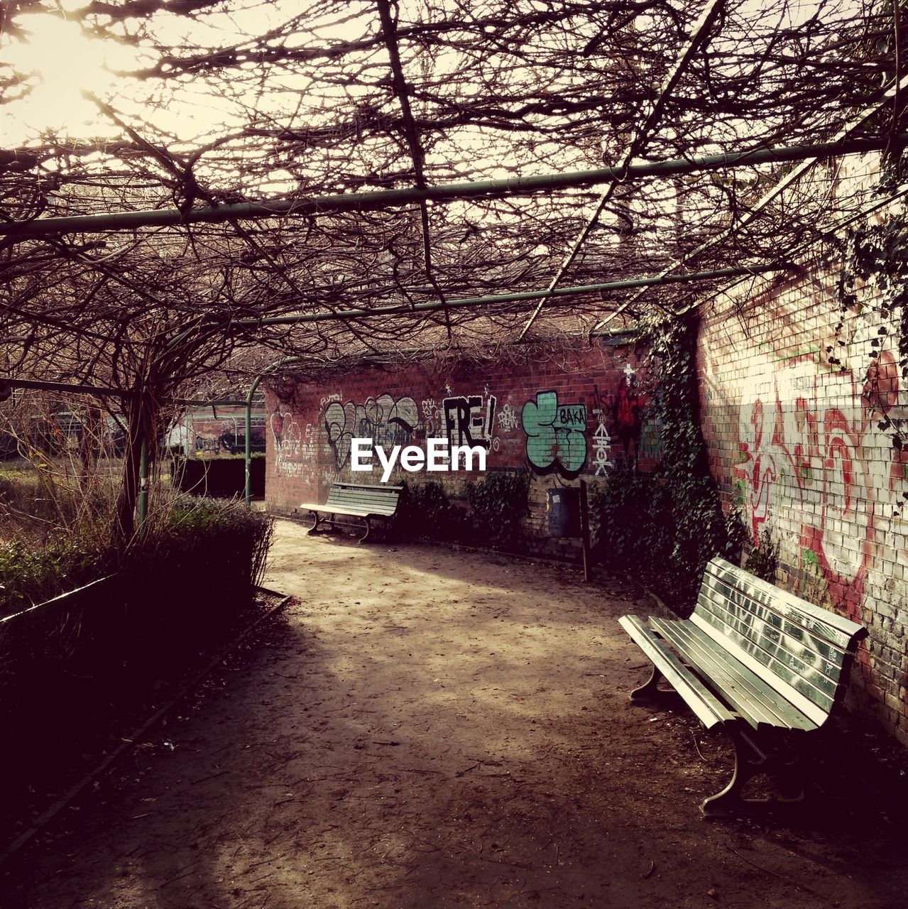 Empty benches by wall in park