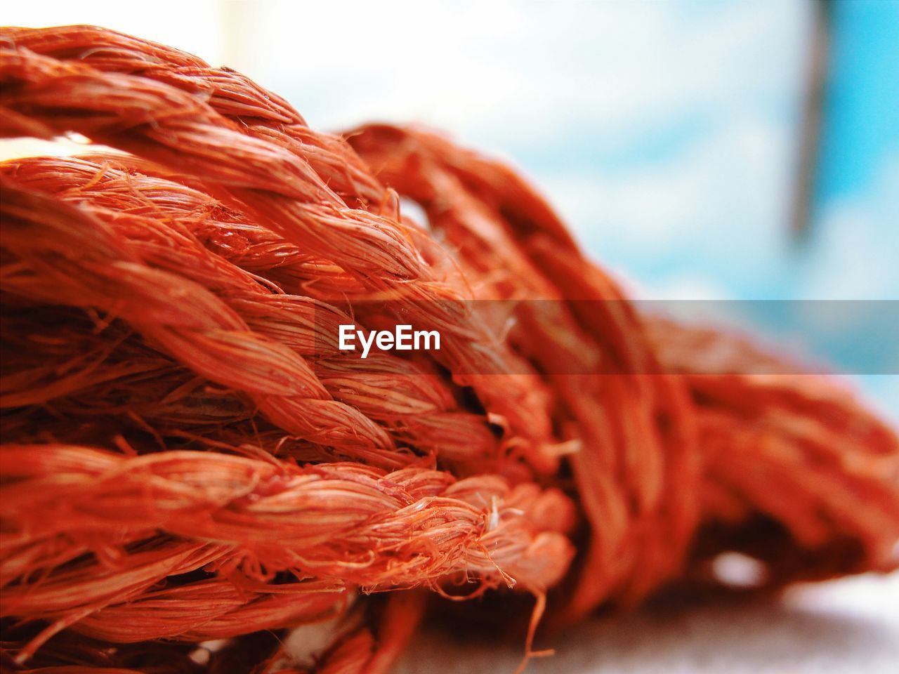 Close-up of orange weathered rope