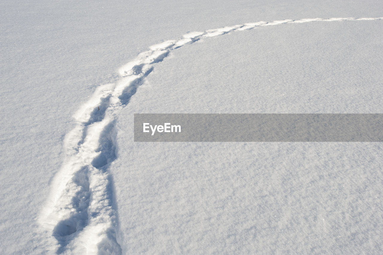 Footpath in deep snow