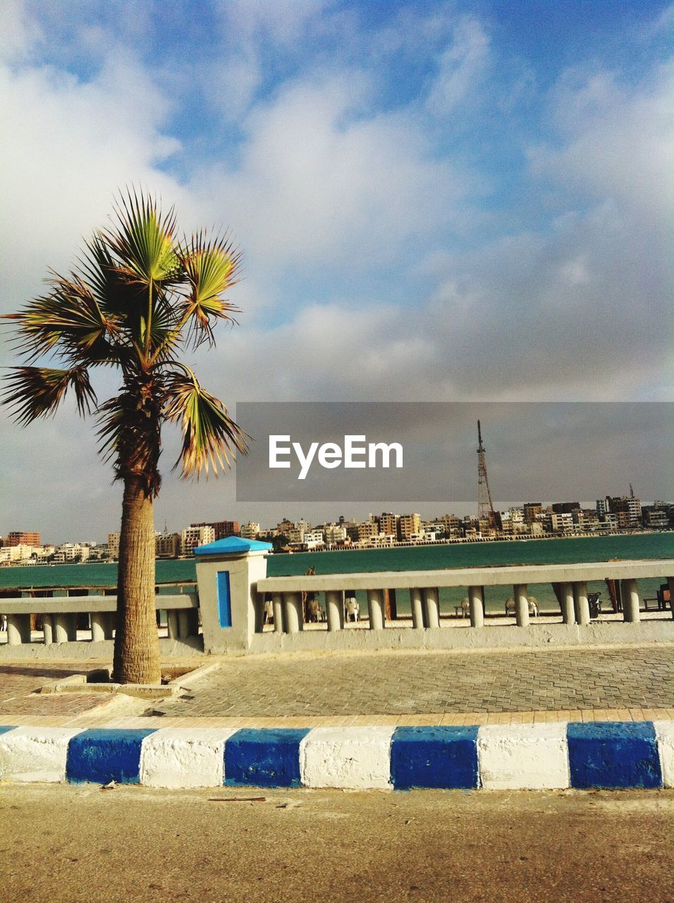 Palm trees on beach against sky