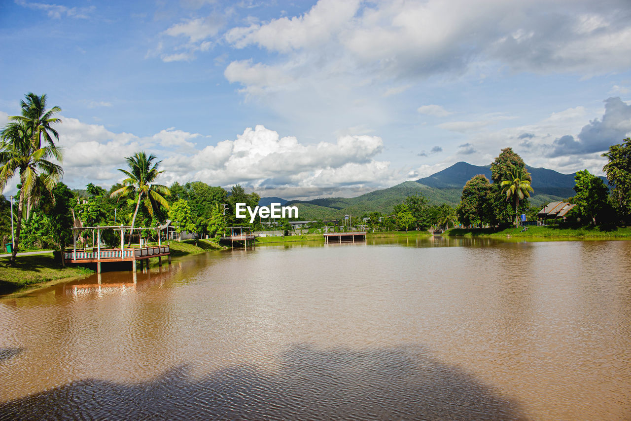 SCENIC VIEW OF LAKE AND PALM TREES AGAINST SKY