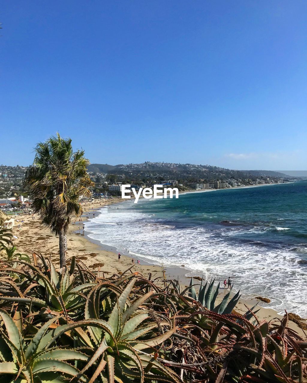 SCENIC VIEW OF BEACH AGAINST BLUE SKY